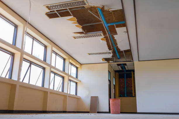 Reliable Nooksack, WA Water damage restoration Solutions