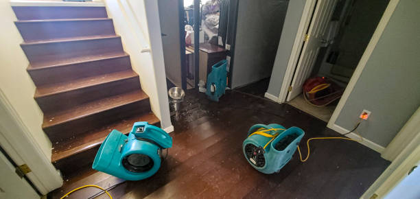 Best 24-hour water damage restoration  in Nooksack, WA