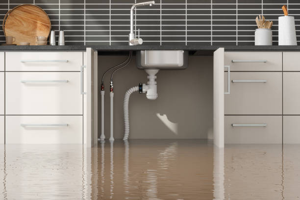 Best Flood restoration services  in Nooksack, WA