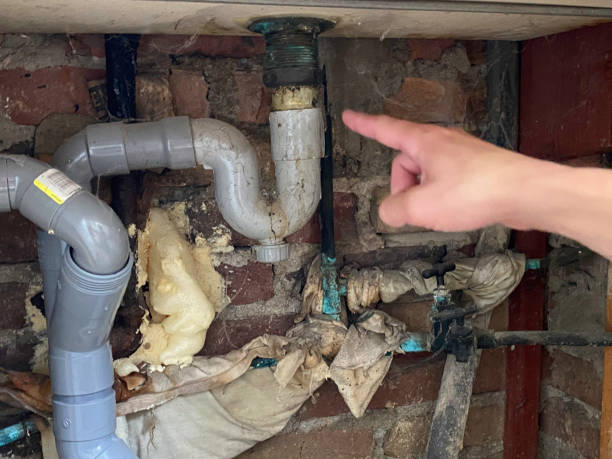 Best Water damage repair service  in Nooksack, WA