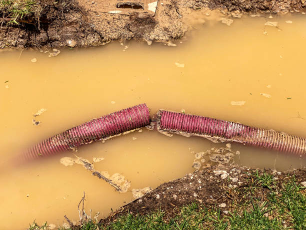 Best Flood damage cleanup  in Nooksack, WA