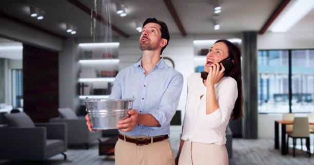 Best Fire Damage Restoration  in Nooksack, WA